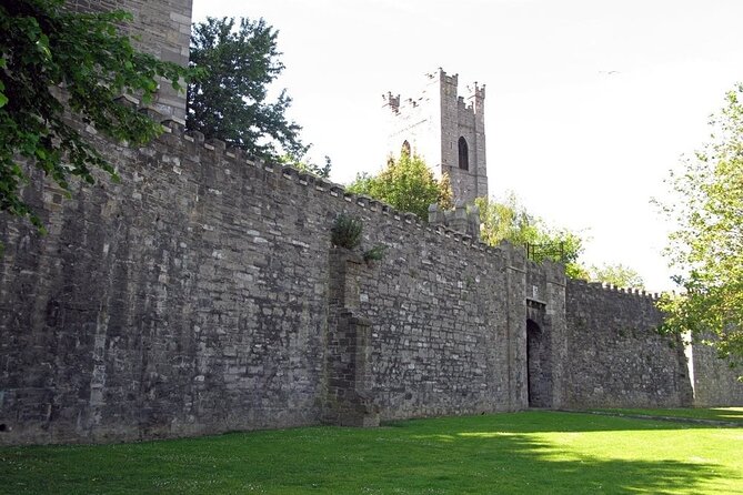 Private Medieval Walking Tour in Dublin - Exploring Chester Beatty Library