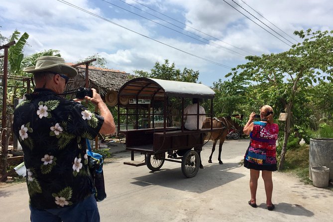 Private Mekong Delta Tour - My Tho - Ben Tre From Cruise Port - Visiting Ben Tré Village