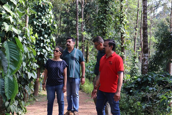 Private Mercara Coorg Coffee and Spice Estate Tour - Relax on Private Tour