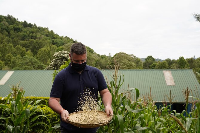 Private Meru Coffee Tour in Nkoaranga - Included Amenities
