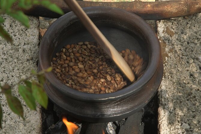 Private Meru Coffee Tour in Nkoaranga - Meeting and Pickup
