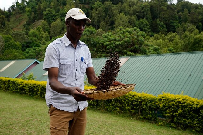 Private Meru Coffee Tour in Nkoaranga - Accessibility and Requirements