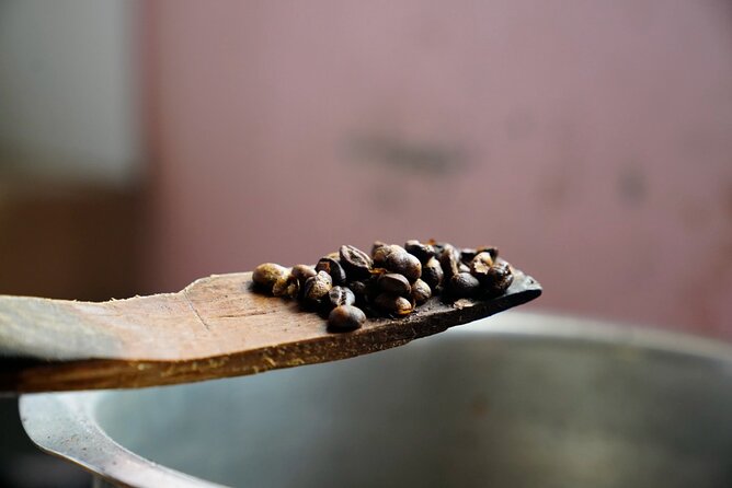 Private Meru Coffee Tour in Nkoaranga - Private Tour Details