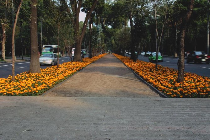Private Mexico City Walking Tour With a Local: Roma & Condesa 100% Personalized - Inclusions and Logistics