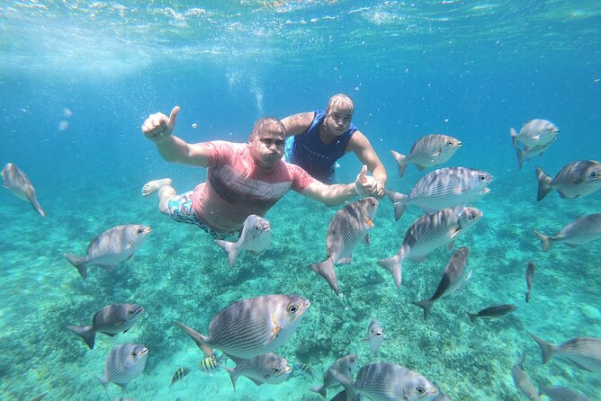 Private Miami Biscayne Bay Cruise for up to 13 Peoples - Inclusions