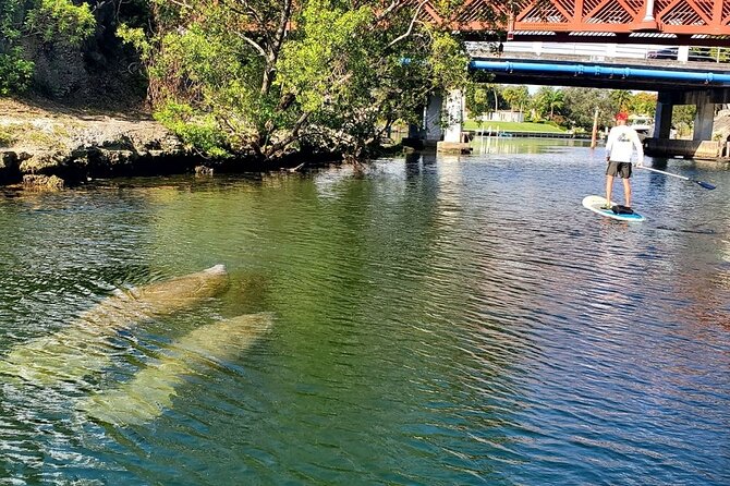 Private Miami Boat Tour - Personalized Touring Experience