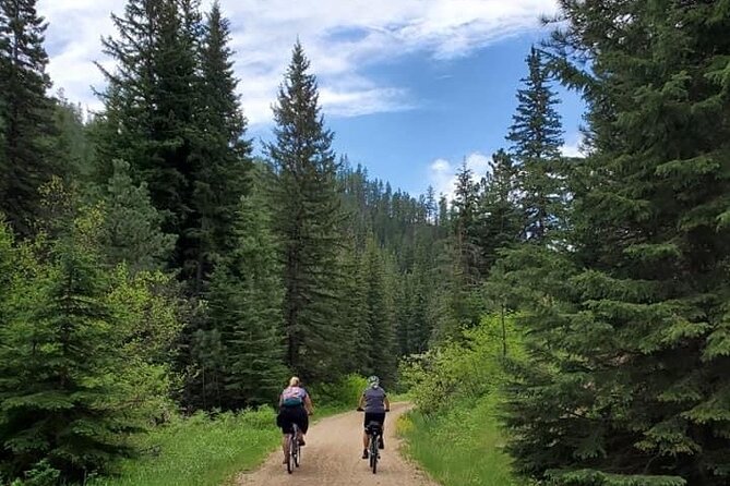 Private Mickelson Trail Bicycling Tour - Pricing and Cancellation
