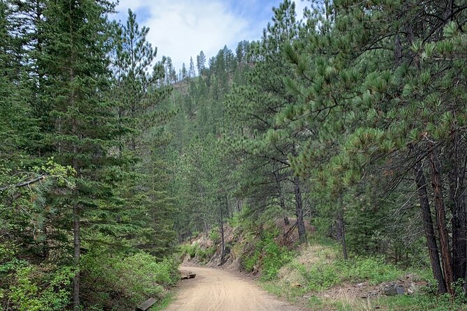 Private Mickelson Trail Bicycling Tour - Exploring the Black Hills