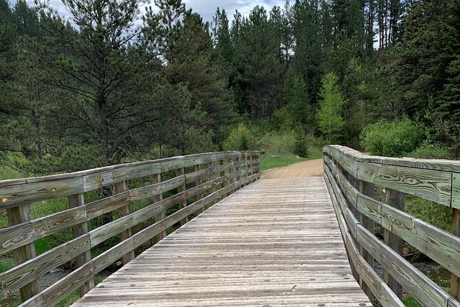 Private Mickelson Trail Bicycling Tour - Bicycling Trail