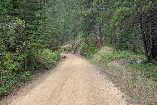 Private Mickelson Trail Bicycling Tour - Pricing and Availability