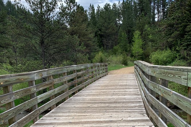 Private Mickelson Trail Bicycling Tour - Guided Segment Ride Details