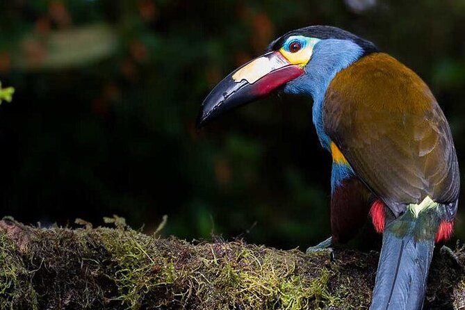 PRIVATE Mindo Cloud Forest Tour - Inclusions
