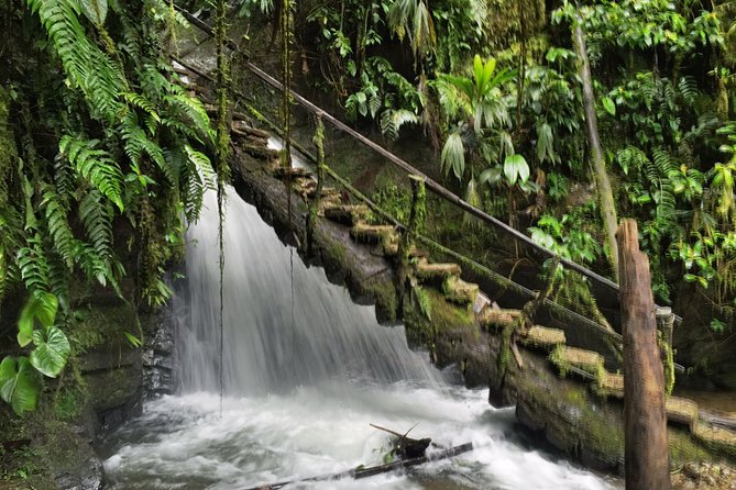 Private Mindo Cloud Forest Tour From Quito - Itinerary and Highlights
