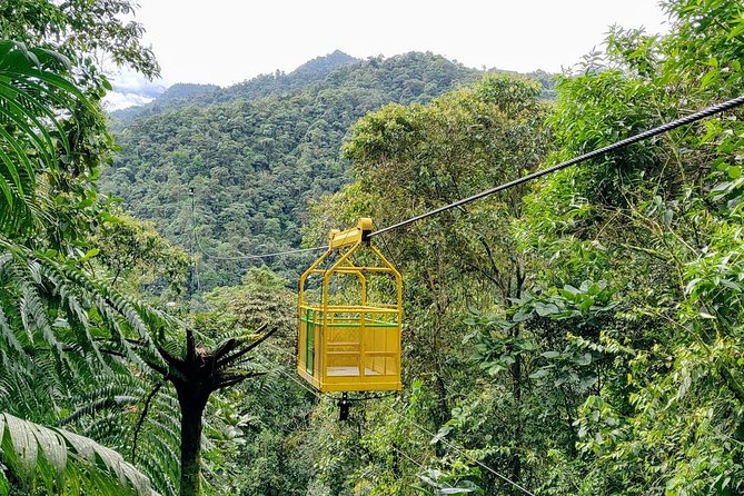 Private Mindo Cloud Forest Tour From Quito - Traveler Reviews