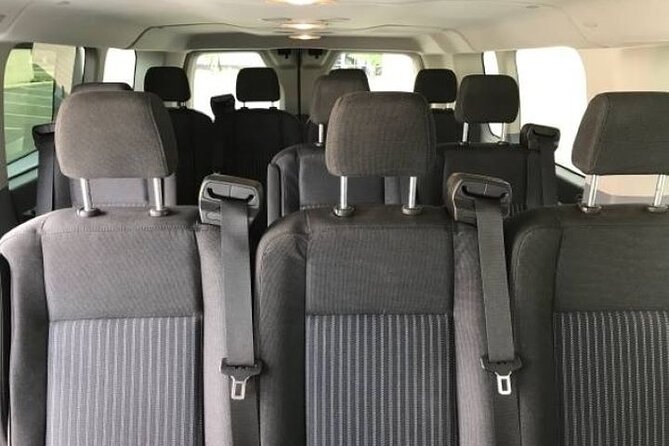 Private Mini Van (Round Trip) - Accessibility and Accommodations