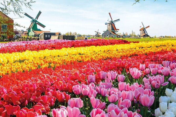 Private Minivan Tour to Keukenhof - Customer Feedback