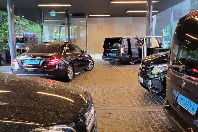 Private Minivan Tour to Keukenhof - Flexible Departure Times