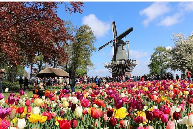 Private Minivan Tour to Keukenhof - Private Transportation