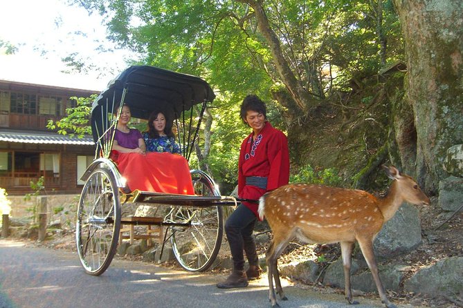 Private Miyajima Rickshaw Tour Including Itsukushima Shrine - Public Transportation Options