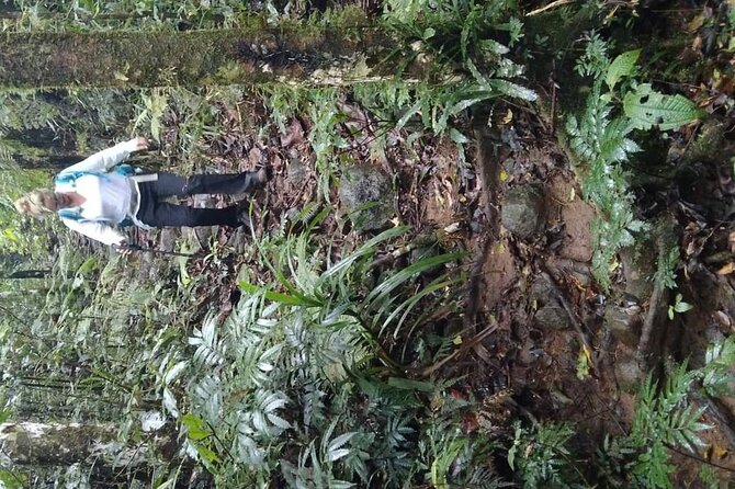 Private Mnt Batilamu Full Day Hike - Customer Feedback