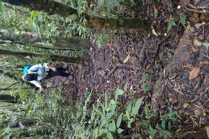 Private Mnt Batilamu Full Day Hike - Hiking Difficulty and Terrain