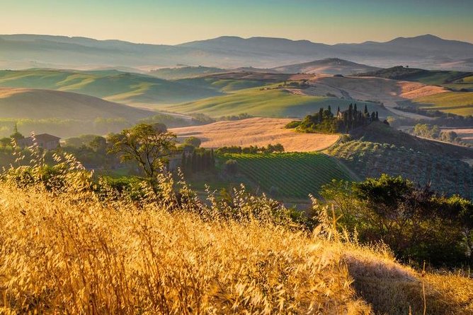 Private Montalcino and Pienza Tour From Siena - Inclusions