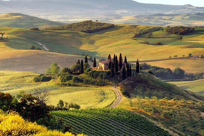 Private Montalcino and Pienza Tour From Siena - Accessibility and Participation