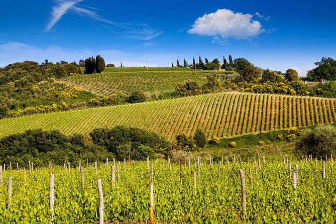 Private Montalcino and Pienza Tour From Siena - Wine Tasting and Cheese Sampling