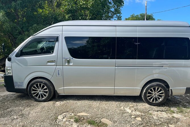 Private Montego Bay Airport Transfer to Negril - About Your Stay