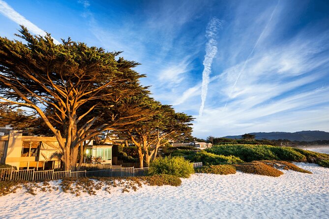 Private Monterey, Carmel and 17-Mile Drive Day Trip From San Francisco - Cannery Row Exploration