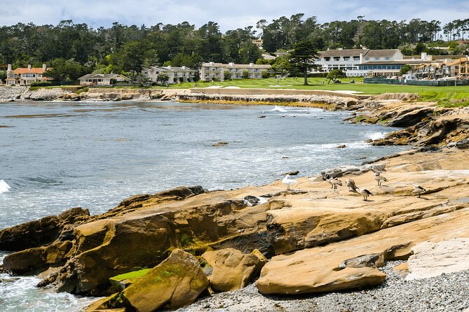 Private Monterey, Carmel and 17-Mile Drive Day Trip From San Francisco - Serene Carmel-by-the-Sea