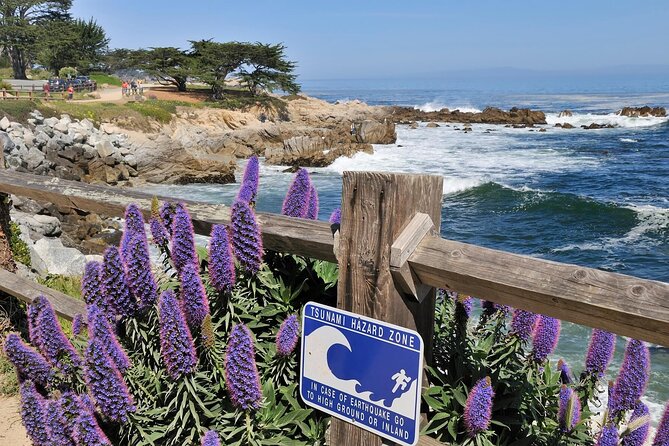 Private Monterey, Carmel and 17-Mile Drive Day Trip From San Francisco - Insights From Professional Guide
