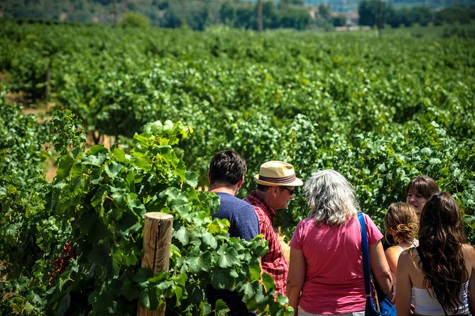 Private Montserrat With Wine Tasting Full Day Trip From Barcelona - Cava Winery Experience