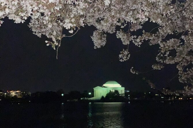 Private Monuments At Night Tour - Accessibility Features