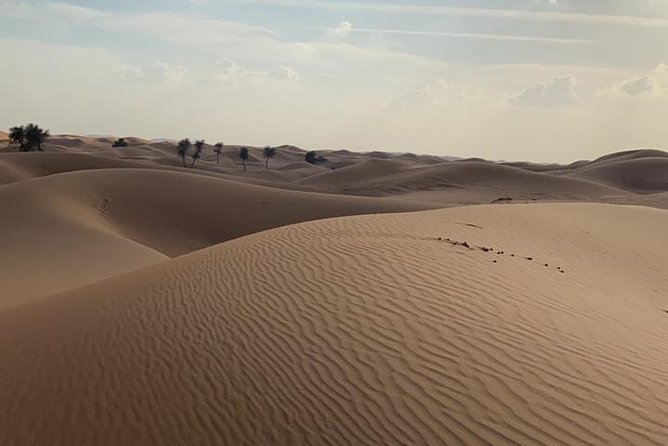 Private Morning Desert Safari Adventures With ATV Quad Bike and Camel Rides - Transportation and Pickup Details