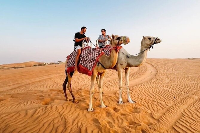 Private Morning Desert Safari Dune Bashing and Short Camel Ride - Reviews and Ratings