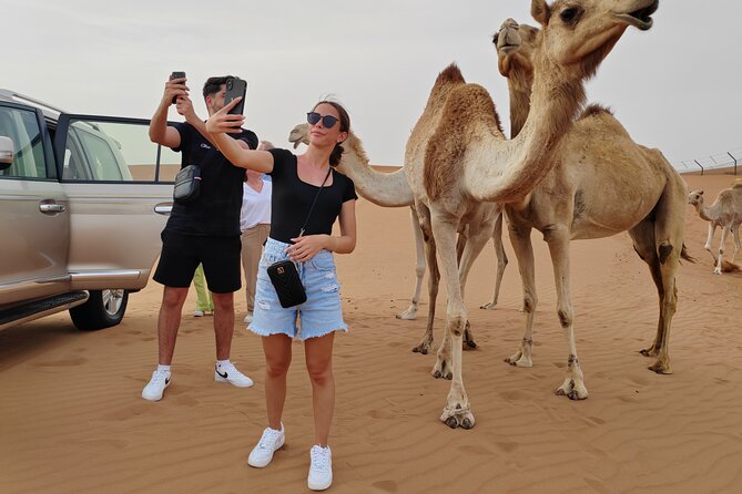 Private Morning Desert Safari From Dubai - Key Points