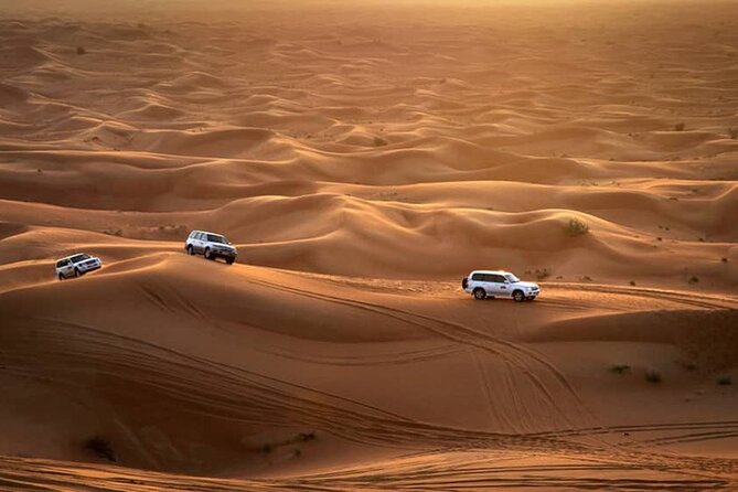 Private Morning Desert Safari From Dubai - Itinerary Highlights