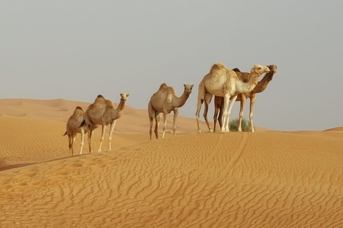 Private Morning Desert Safari From Dubai - Sandboarding Thrill