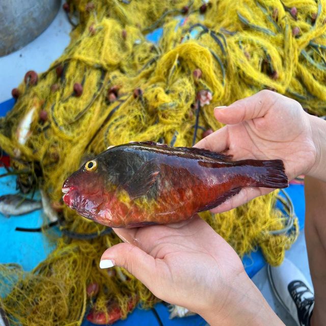 Private Morning Fishing Tour W/ Lunch and Drinks - Boat and Facilities