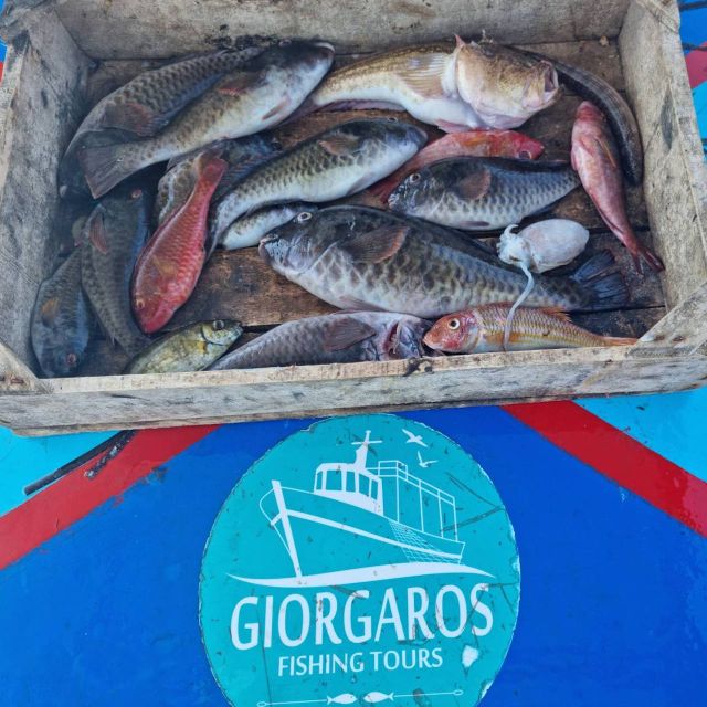Private Morning Fishing Tour W/ Lunch and Drinks - Recommended Attire