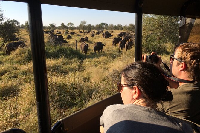 Private Morning Game Drive From Hazyview L Kruger National Park - Booking Information