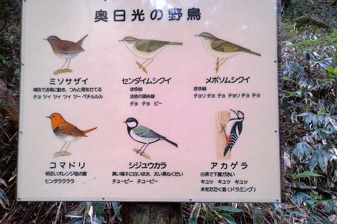 Private Morning Hike Around Nikko Toshogu Shrine - Historical Significance of the Site
