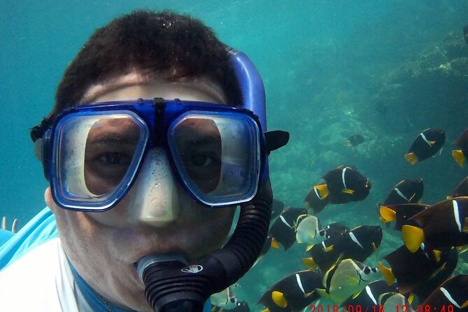 Private Morning Sail & Snorkel Tour - Reviews and Ratings