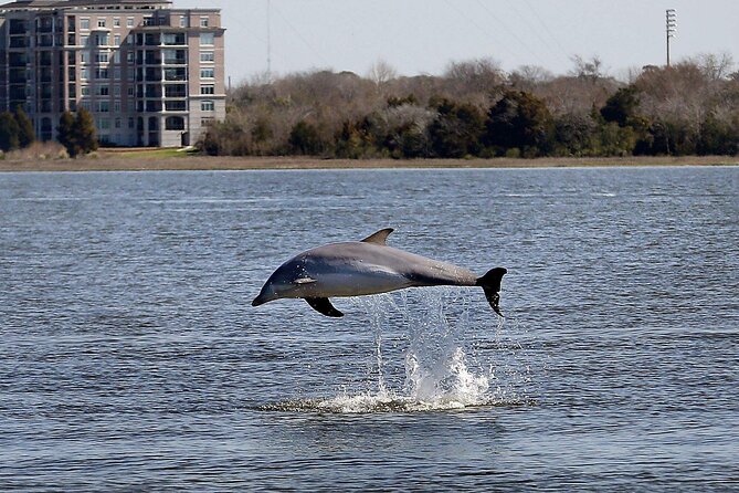 Private Morning Sailing/Dolphin & History Tours on Mystique - Cancellation Policy