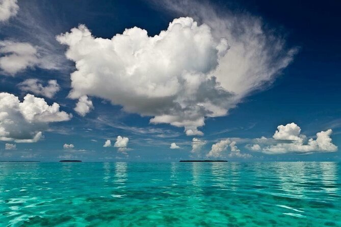 Private Morning Tiki Boat Eco Cruise in Key West - Cancellation and Reservation Policies