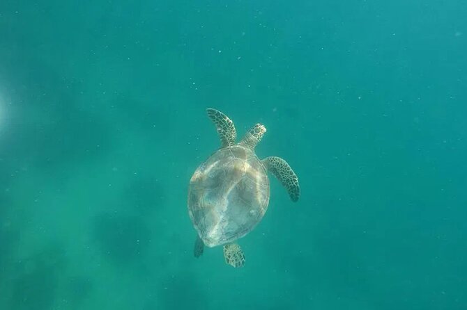 Private Morning Tiki Boat Eco Cruise in Key West - Recap