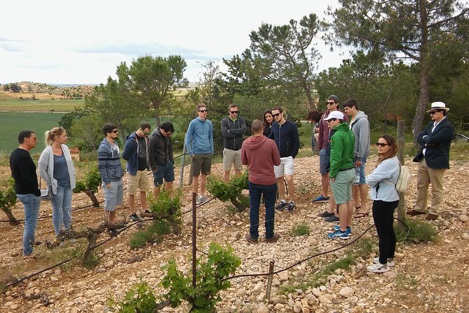 Private Morning Wine and Winery Tour and Tasting From Valencia - Tour Overview