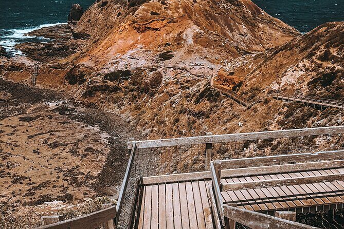Private Mornington Peninsula Hike and Hot Springs Tour - Who Would Love This Tour?