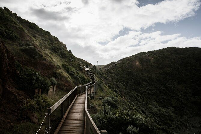 Private Mornington Peninsula Hike and Hot Springs Tour - Final Thoughts